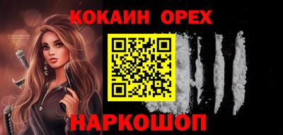 индика Сланцы