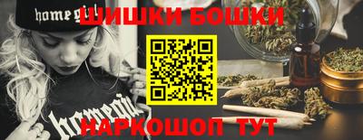 индика Сланцы