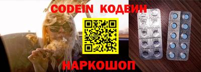 индика Сланцы