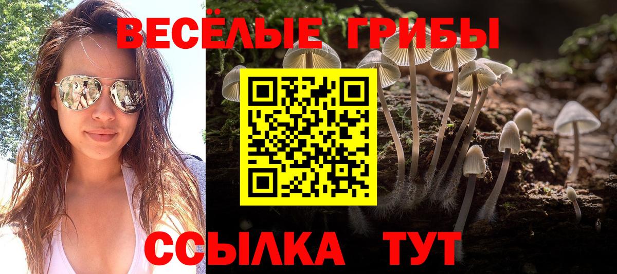 Кубинка  Псилоцибиновые грибы Psilocybine cubensis  Вход с VPN  Галлюциногенные грибы Cubensis 