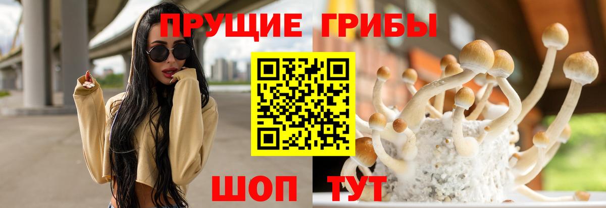 Псилоцибиновые грибы мухоморы Кубинка